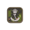 C INT C Intelligence Specialist Badges (Level 1-4)