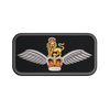British AAC Pilot Wing Badge