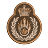Canadian Ammunition Technician Trade Badge
