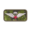 Parachutist Wing Badge