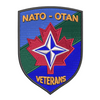 Veteran's NATO-OTAN patch