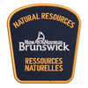 Natural Resources Badge