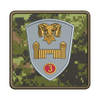 CDSG Badges