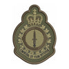 Special Operations Force Branch Badge