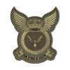 The 443 Squadron Badge