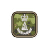 Pipes Badge (Level 1-4)