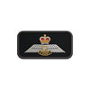 Cadet Glider Wing
