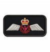 AES Op Wings Operational Badge