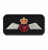 AES Op Wings Operational Badge