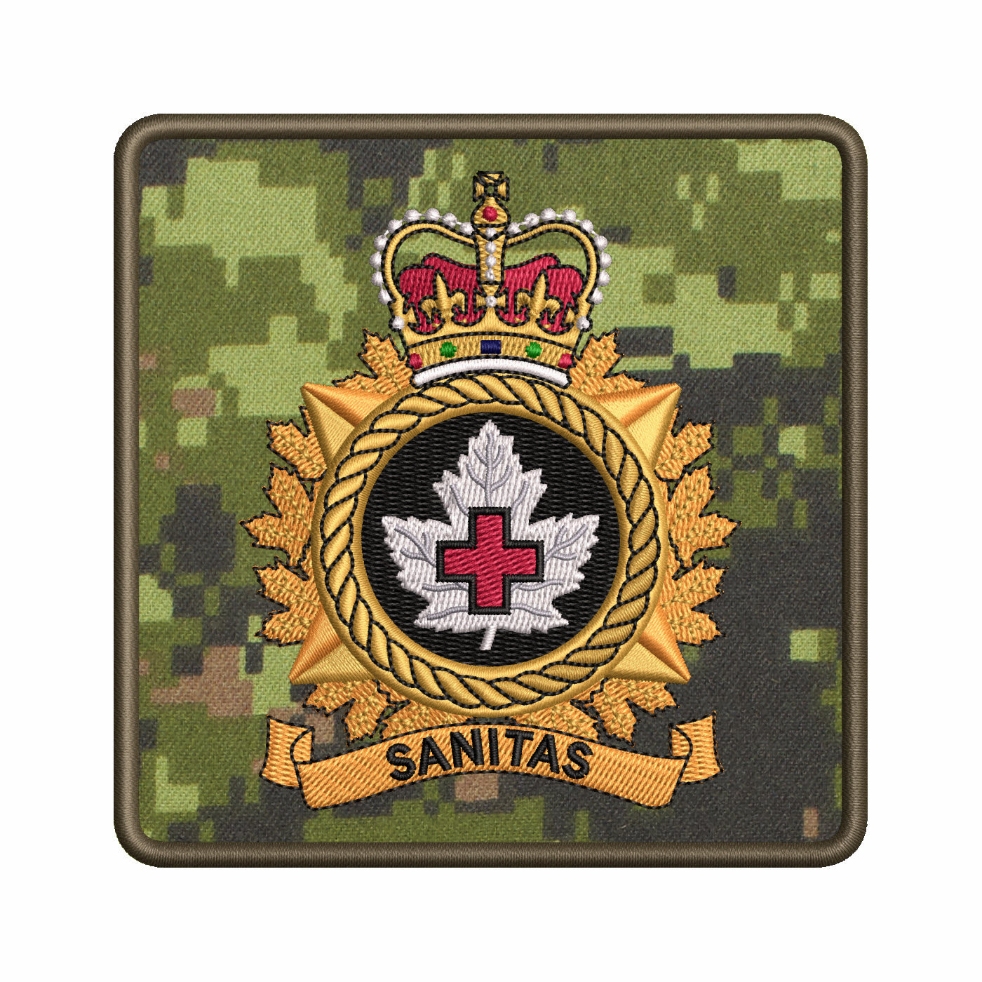 Health Services Group badge