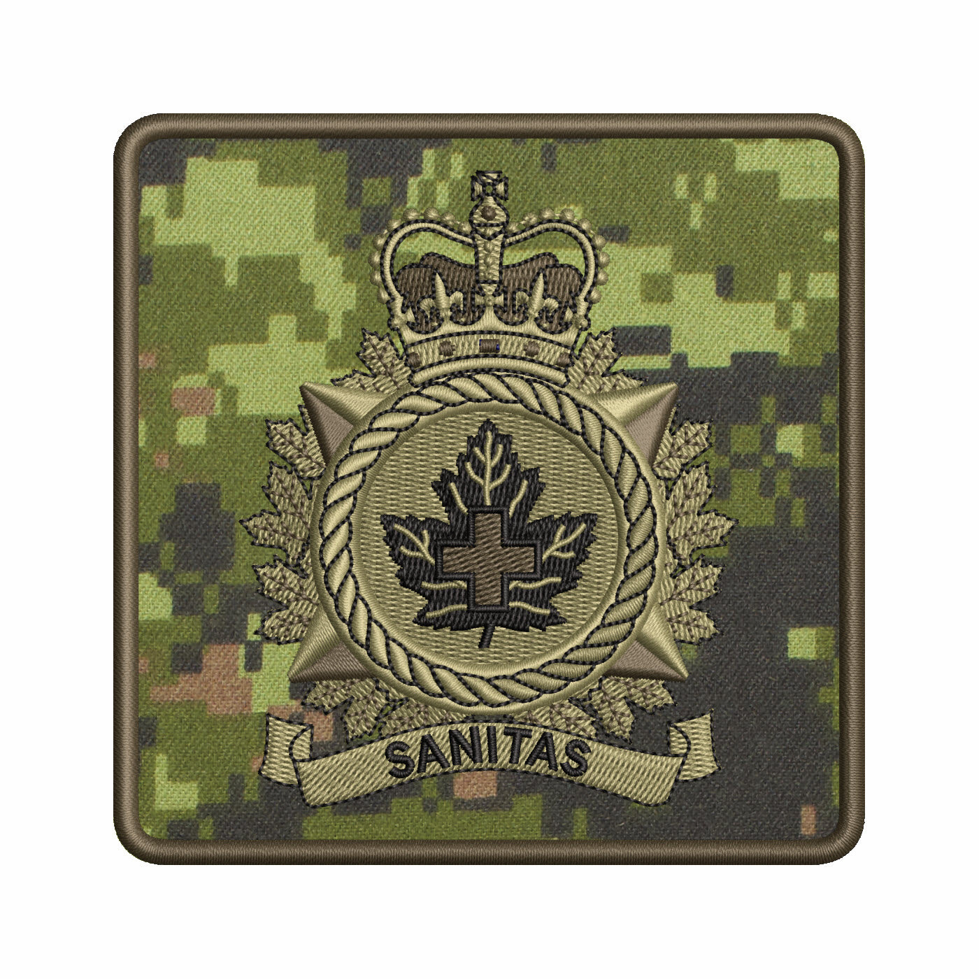 Health Services Group badge