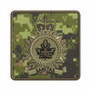 Health Services Group badge