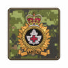 Health Services Group badge