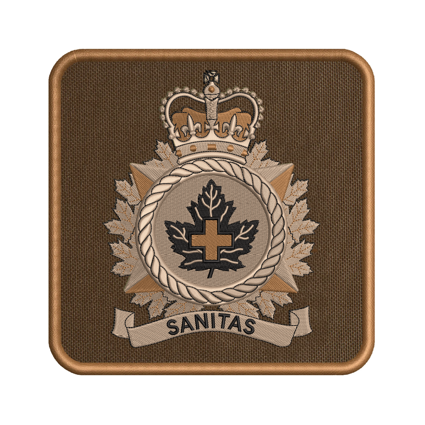 Health Services Group badge