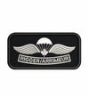 Parachutist Rigger Arrimeur Wing Badge