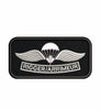 Parachutist Rigger Arrimeur Wing Badge