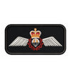 SAR Tech Wings Operational Badge