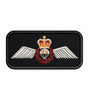 SAR Tech Wings Operational Badge