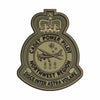Cadet Power Pilot Badge