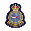 Cadet Power Pilot Badge