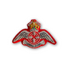 JTAC-I Wings badge