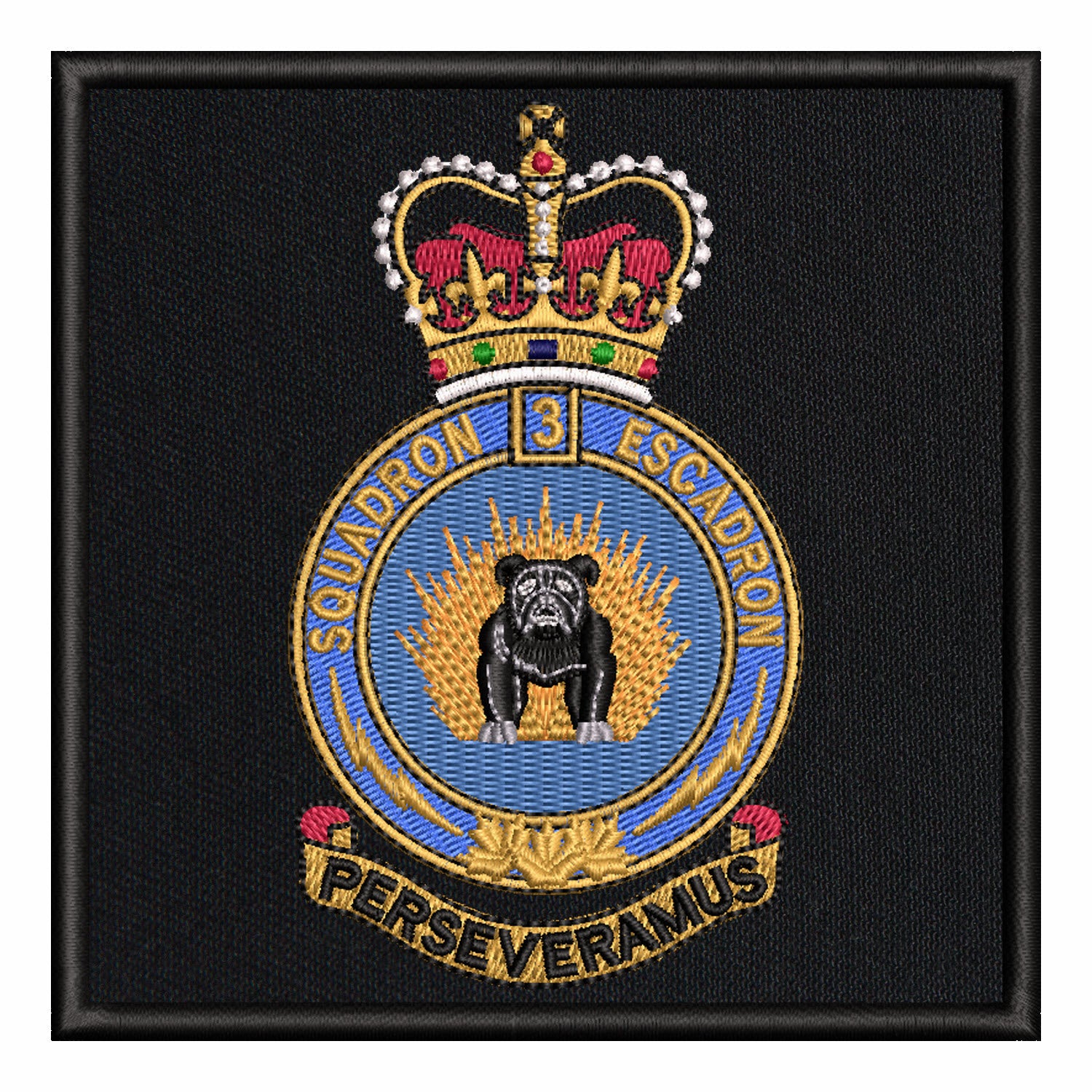 3 Canadian Division Support Group Signal Squadron (CDSG)