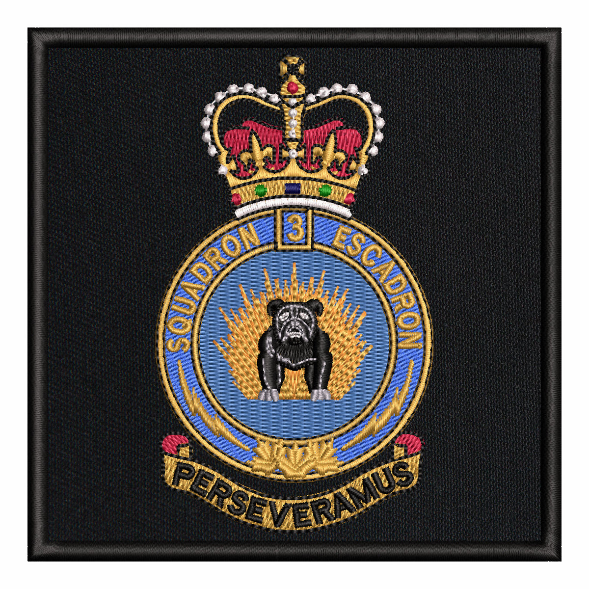 3 Canadian Division Support Group Signal Squadron (CDSG)