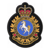 All Cadet Training Center Badges