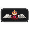 Pilot Operational Wing Badge