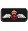 Pilot Operational Wing Badge