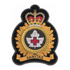 Health Services Group badge