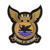 The 880 Squadron Patch