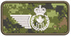 RCAF Trade Badges