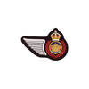CIC Half Wing Badge