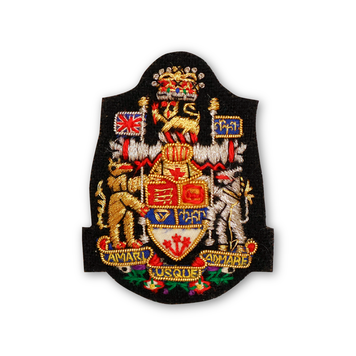 CWO Beret Badge
