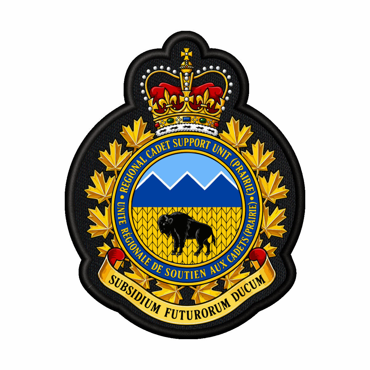 All Regional Cadet Support Unit (RCSU) Badges