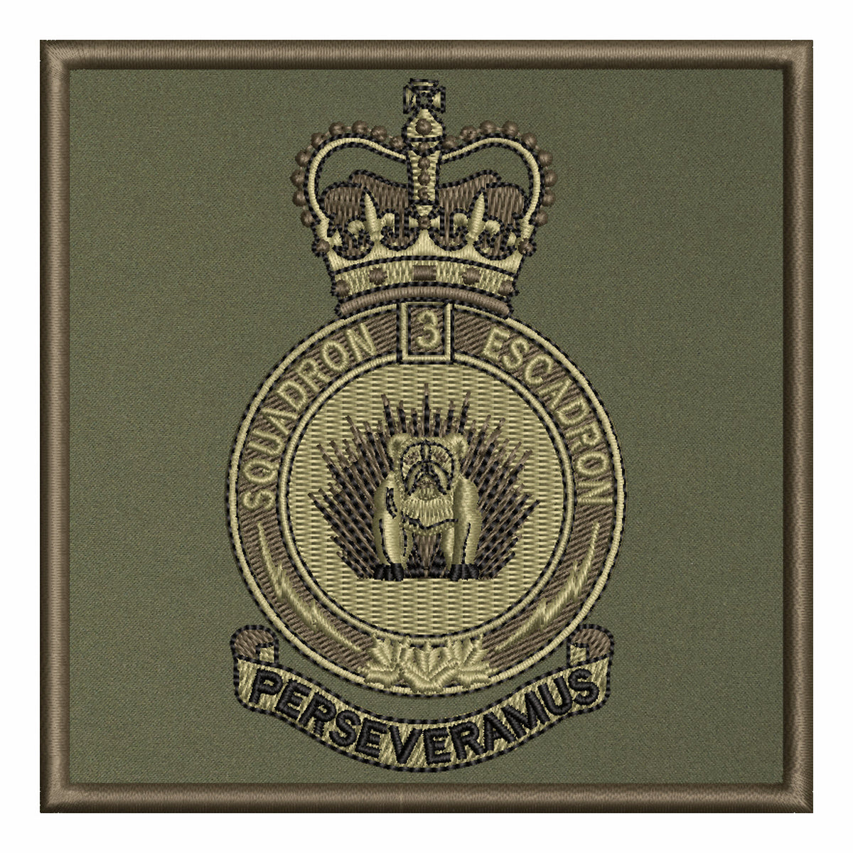 3 Canadian Division Support Group Signal Squadron (CDSG)