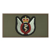 Flight Surgeon Badge