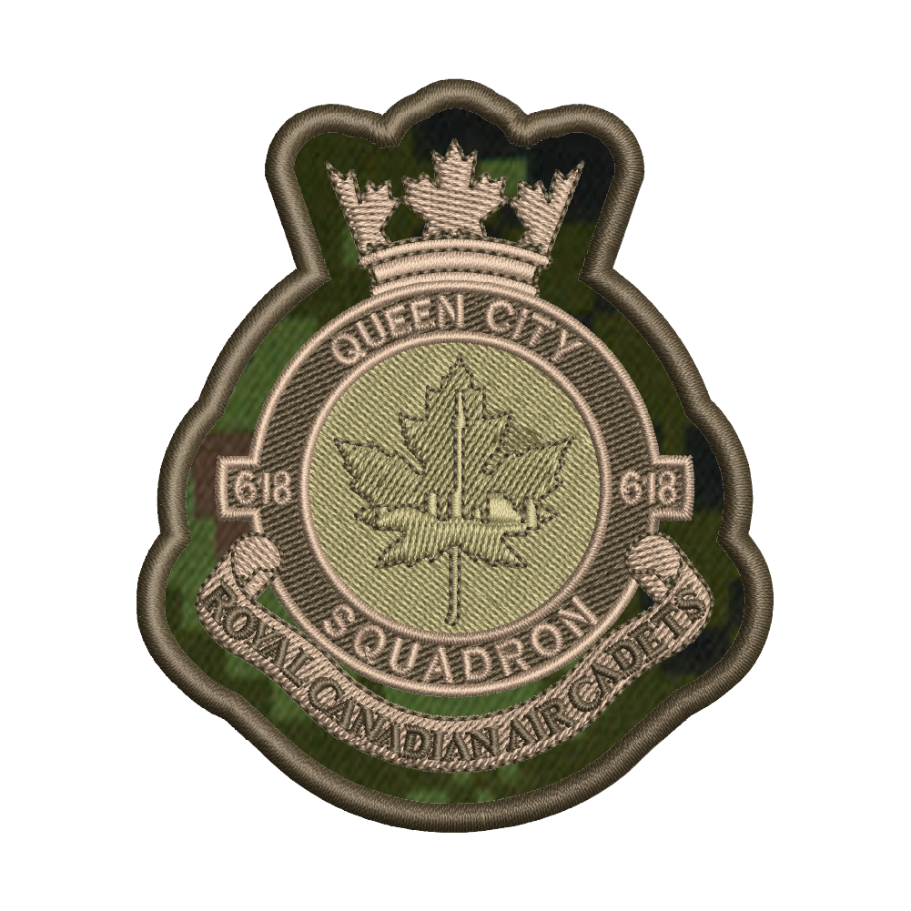 Air Cadet Badges (501 to 999)