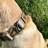 Working Dog Collar (w/ Cobra Buckle)