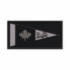 Coast Guard Auxiliary Flag