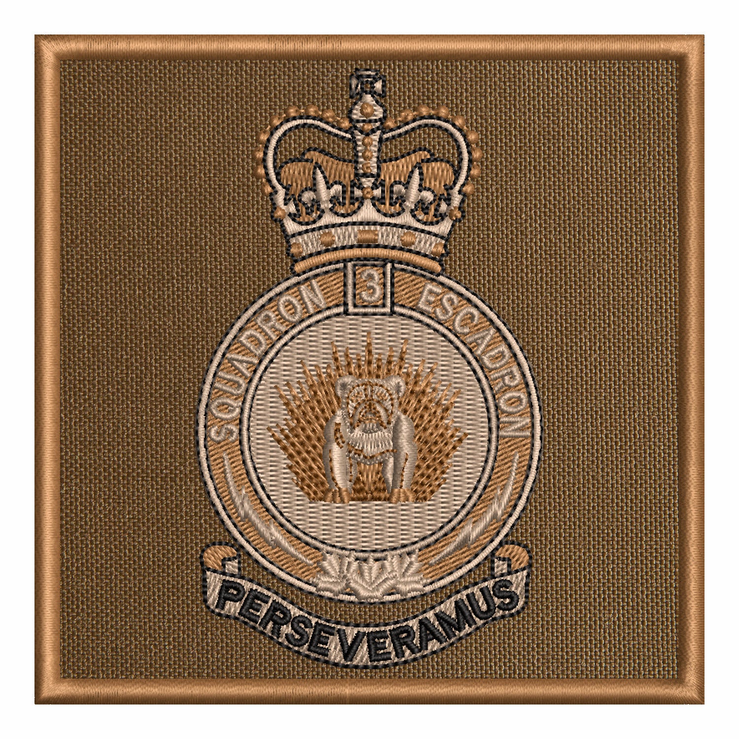3 Canadian Division Support Group Signal Squadron (CDSG)