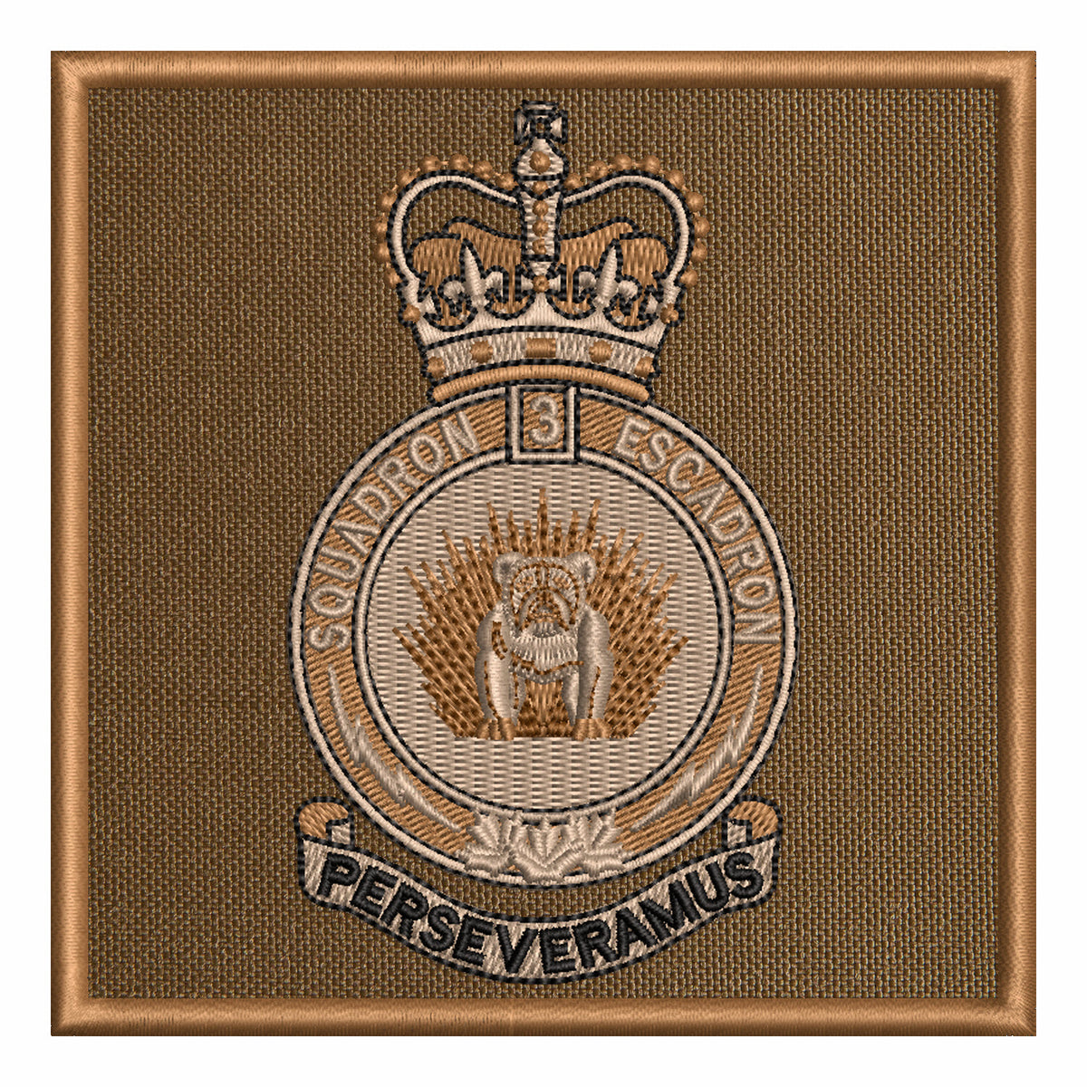 3 Canadian Division Support Group Signal Squadron (CDSG)