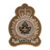 Health Services Group badge