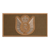 Flight Surgeon Badge