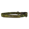 Custom Dog Collar (with nametape option)