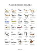 Custom Flight Suit Nametapes
