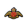 JTAC-I Wings badge
