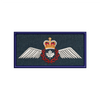 Pilot Wings for FCO