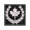 (DN) Custom Patch (2 x 2")